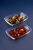 اردوخوری پاشاباغچه مدل توکیو